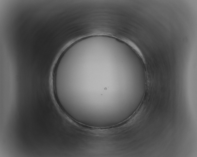 X0000101951096200807180657