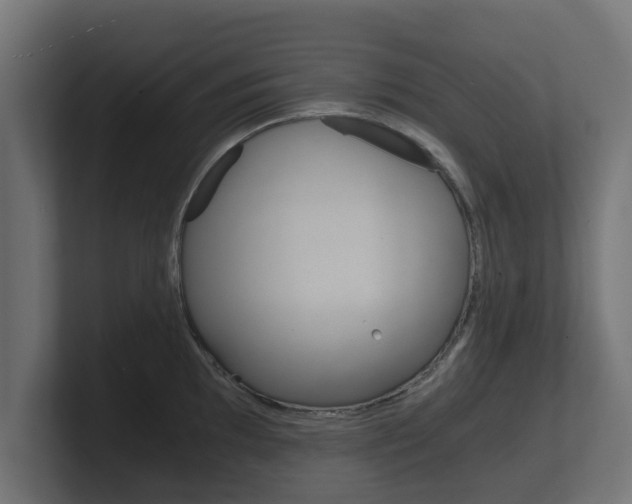 X0000101951097200807180657