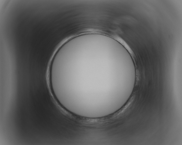 X0000101951098200807180657
