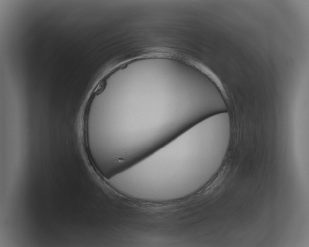 X0000101951099200807180657