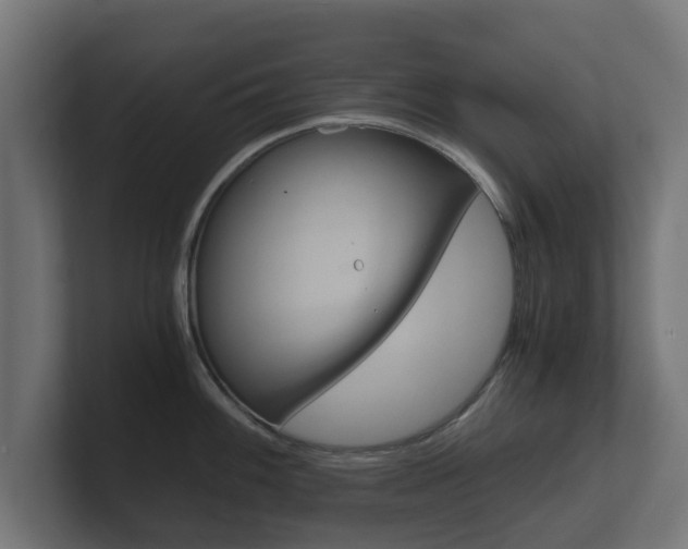 X0000101951100200807180657