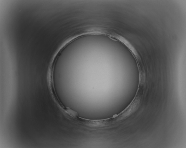 X0000101951101200807180657