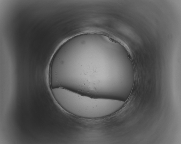 X0000101951103200807180657