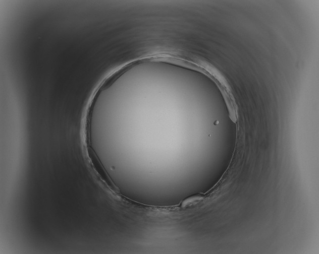 X0000101951104200807180657