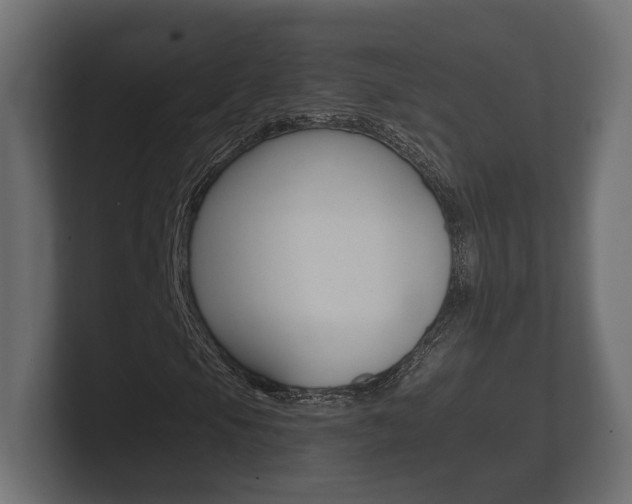 X0000101951105200807180656