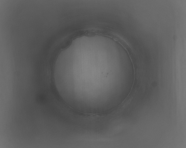 X0000101951111200807180657