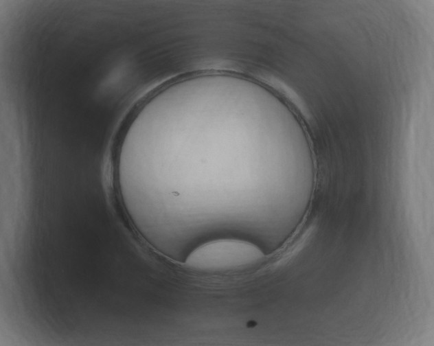 X0000101951125200807180657