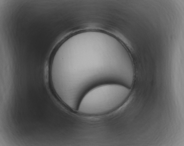 X0000101951126200807180657