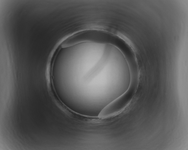 X0000101951128200807180657