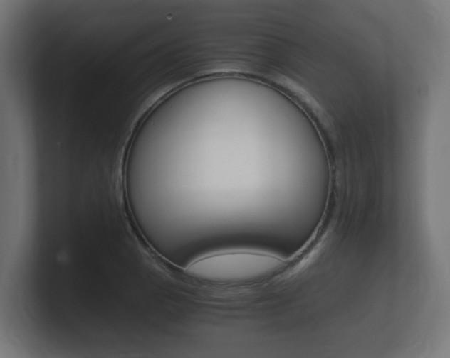X0000101951129200807180657