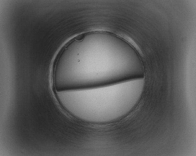 X0000101951132200807180657