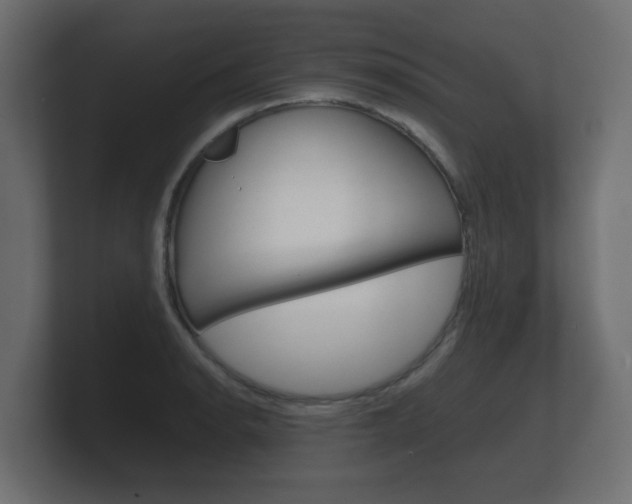 X0000101951134200807180657
