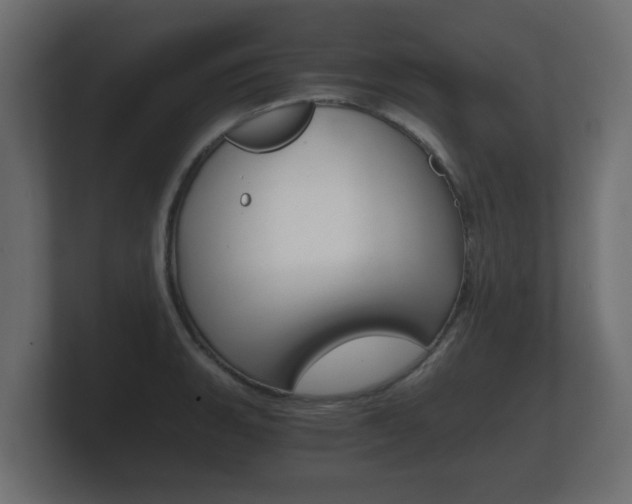 X0000101951135200807180657