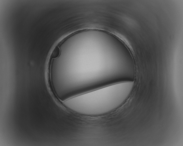 X0000101951136200807180657
