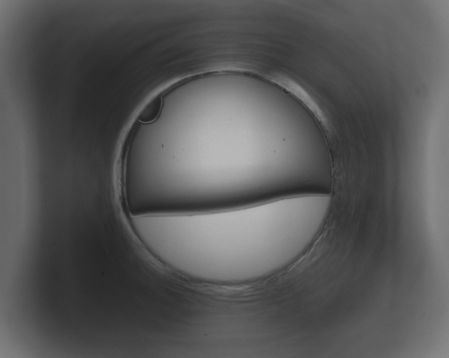 X0000101951140200807180657