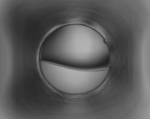X0000101951142200807180657