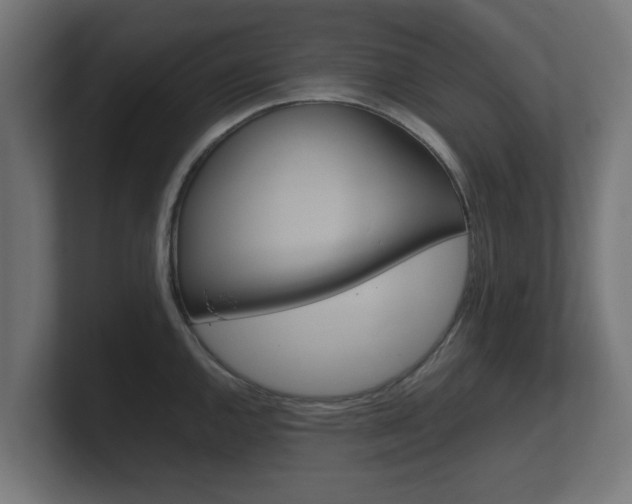 X0000101951144200807180657