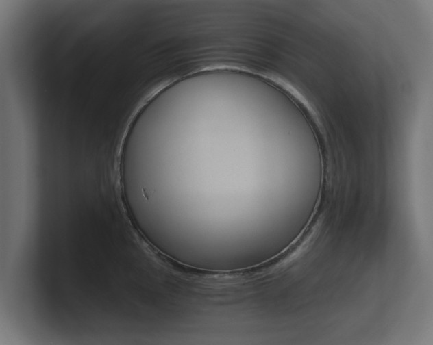 X0000101951145200807180657
