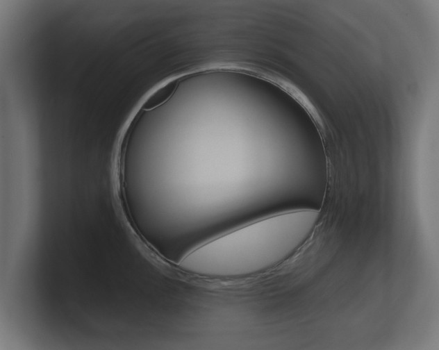 X0000101951148200807180657