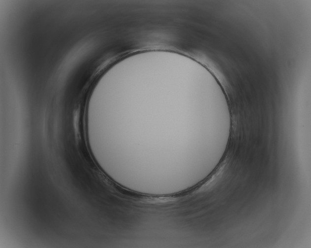X0000101951150200807180657