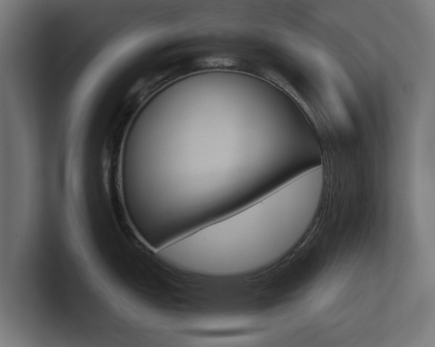 X0000101951151200807180657