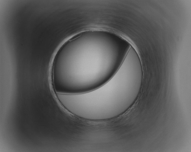 X0000101951152200807180657