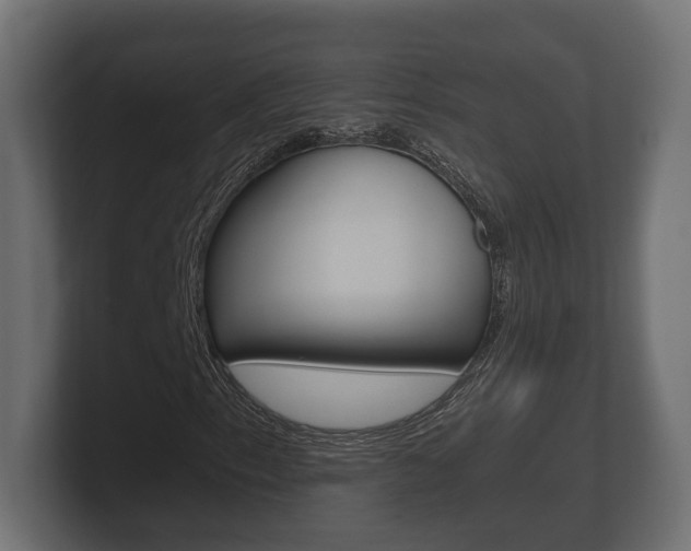 X0000101951153200807180656