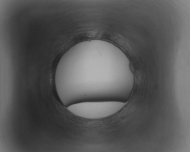 X0000101951154200807180656