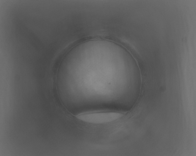 X0000101951159200807180656