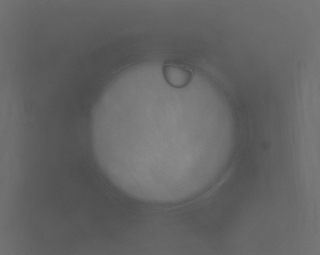 X0000101951161200807180656