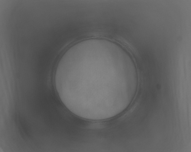 X0000101951162200807180656