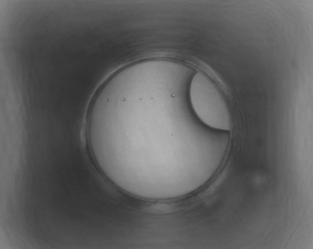 X0000101951178200807180656