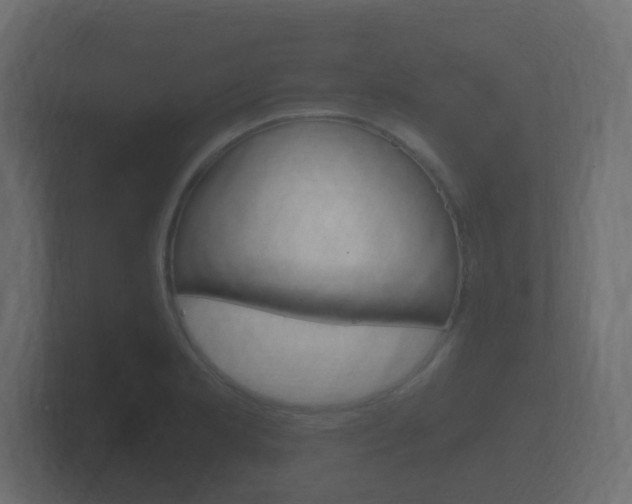 X0000101951181200807180656