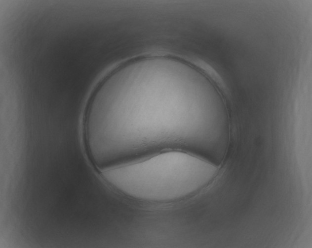 X0000101951183200807180656