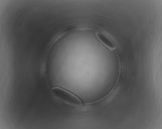 X0000101951185200807180656