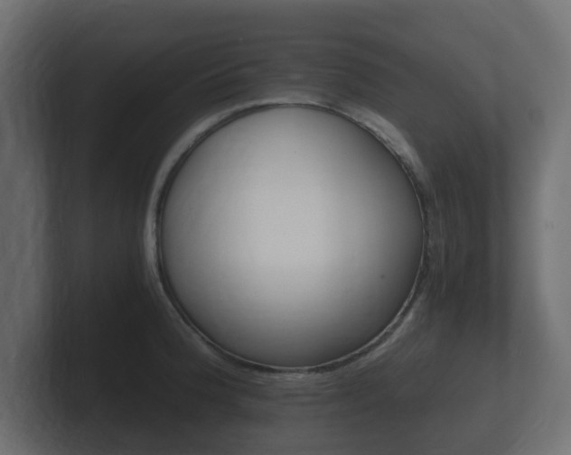 X0000101951188200807180656