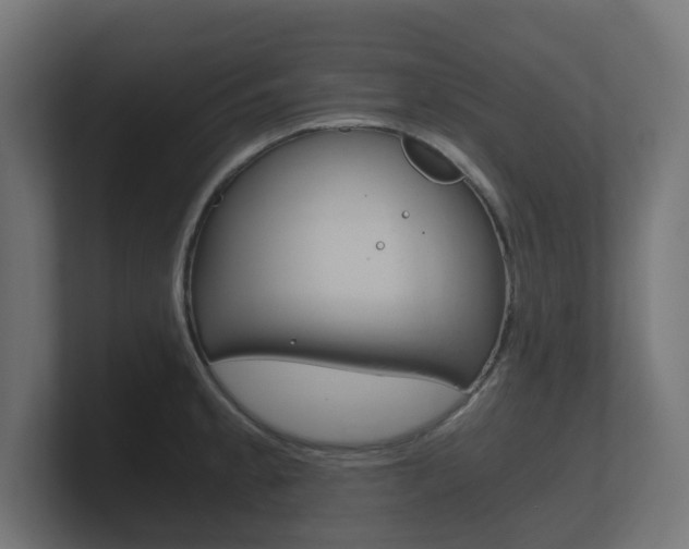 X0000101951189200807180656