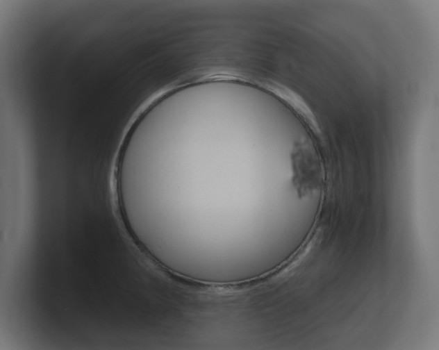 X0000101951190200807180656