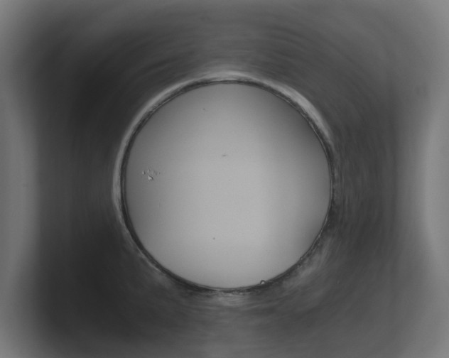 X0000101951191200807180656