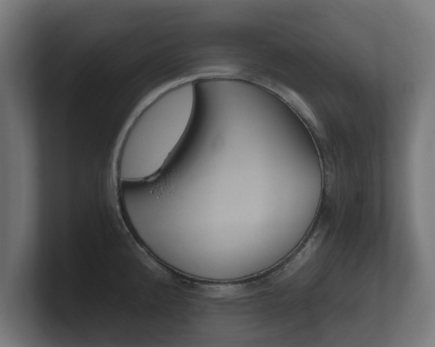 X0000101951192200807180656