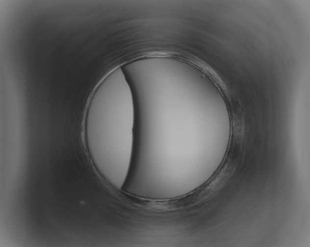 X0000101951194200807180656