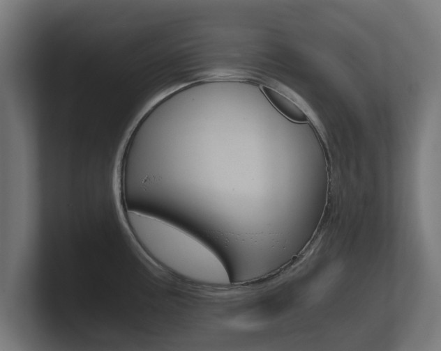X0000101951195200807180656