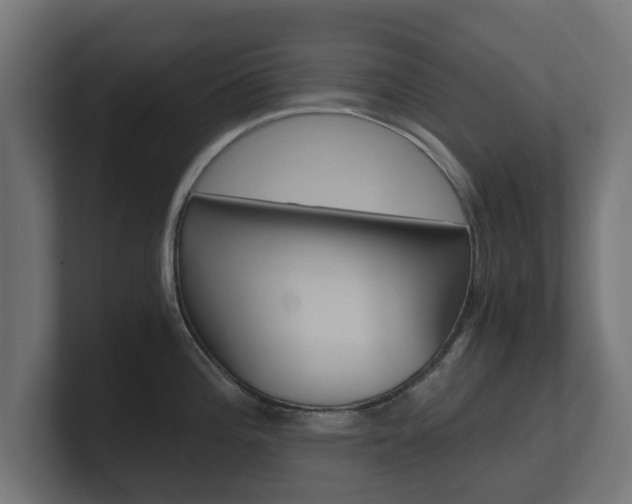 X0000101951196200807180656
