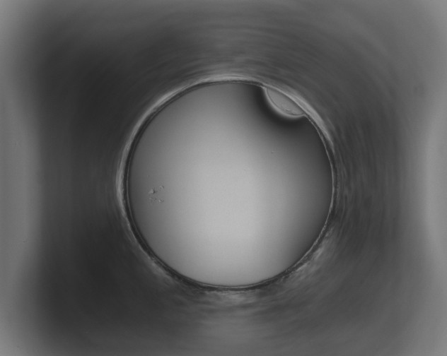 X0000101951197200807180656