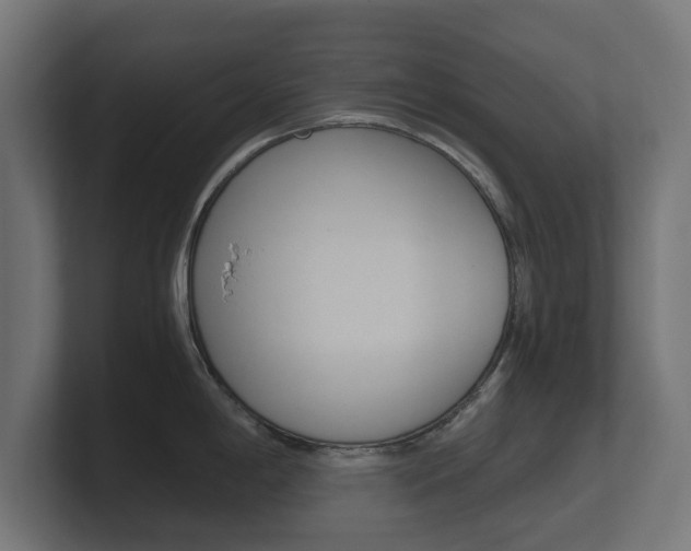 X0000101951198200807180656