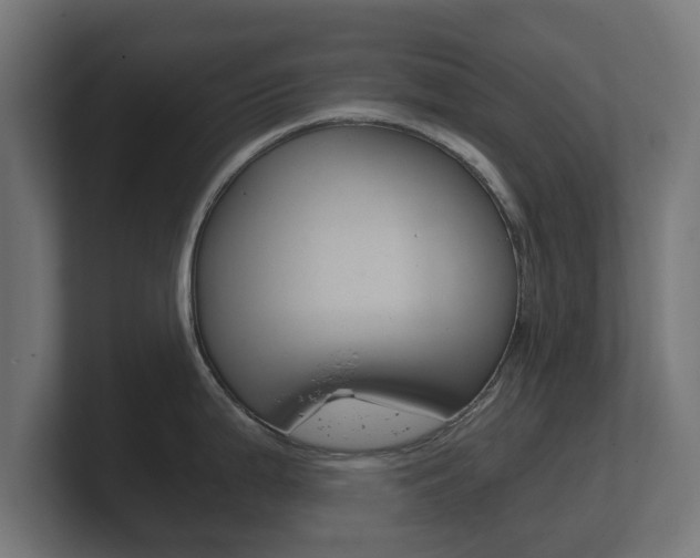 X0000101951199200807180656