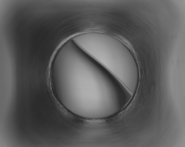 X0000101951200200807180656