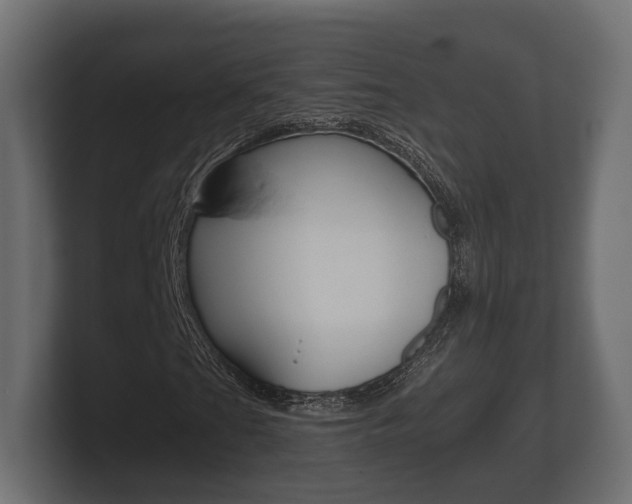 X0000101951201200807180655