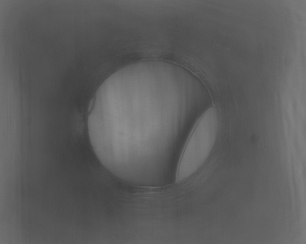 X0000101951204200807180655
