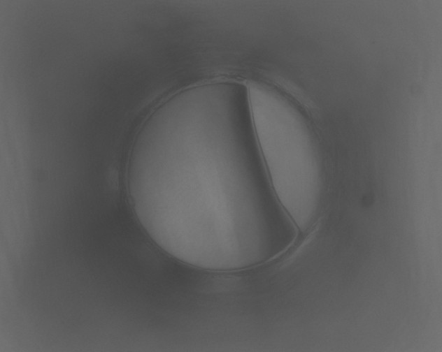 X0000101951209200807180655